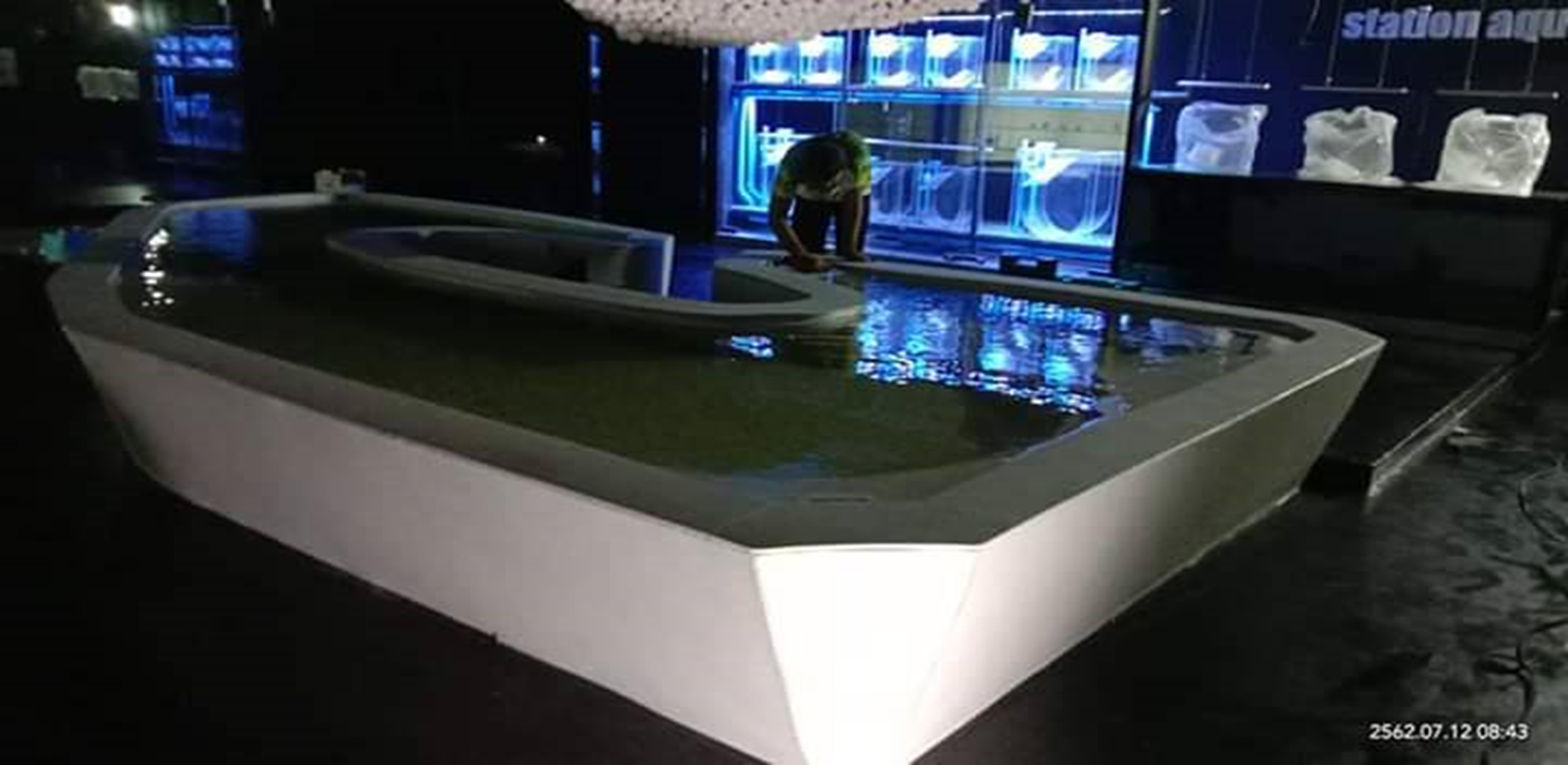 Aquarium Touch Pool